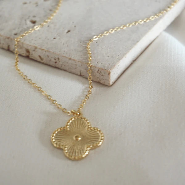 Cadena Rolo 18k